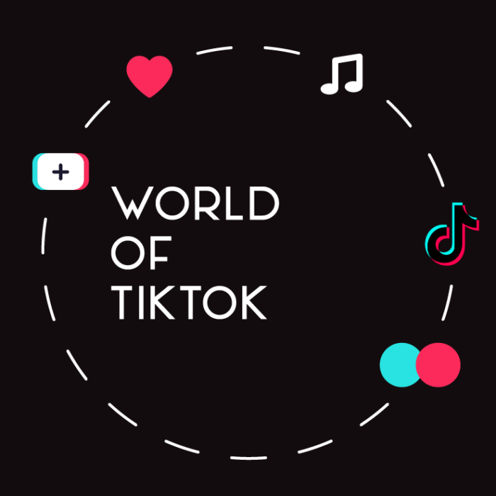 world of tiktok